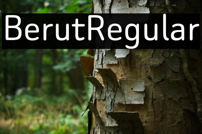 Beiruti Regular Example 2