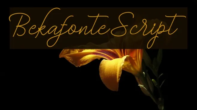 BekafonteScript Example 2