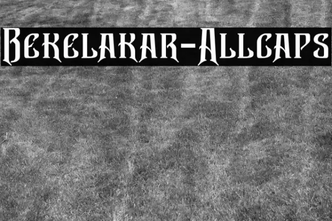 Bekelakar-Allcaps Font examples