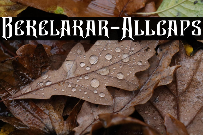 Bekelakar-Allcaps Example 2