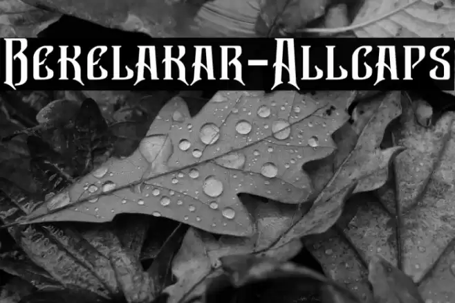 Bekelakar-Allcaps Font examples