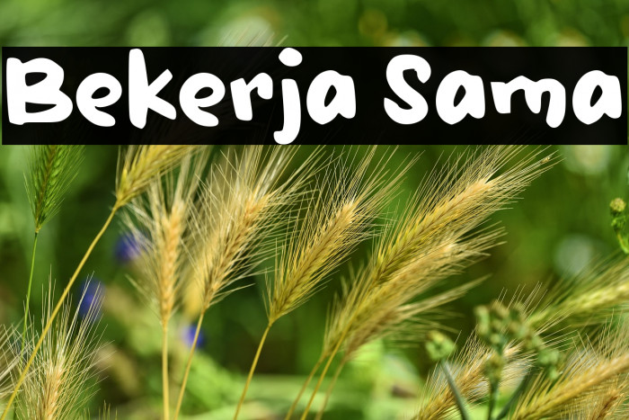 Bekerja Sama Example 3