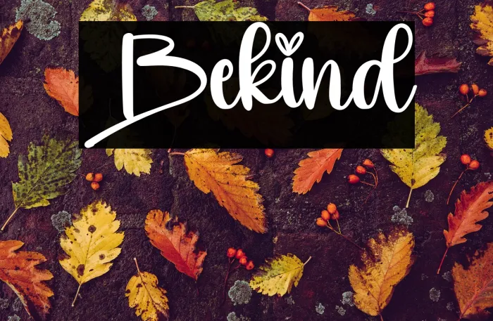 Bekind Example 1