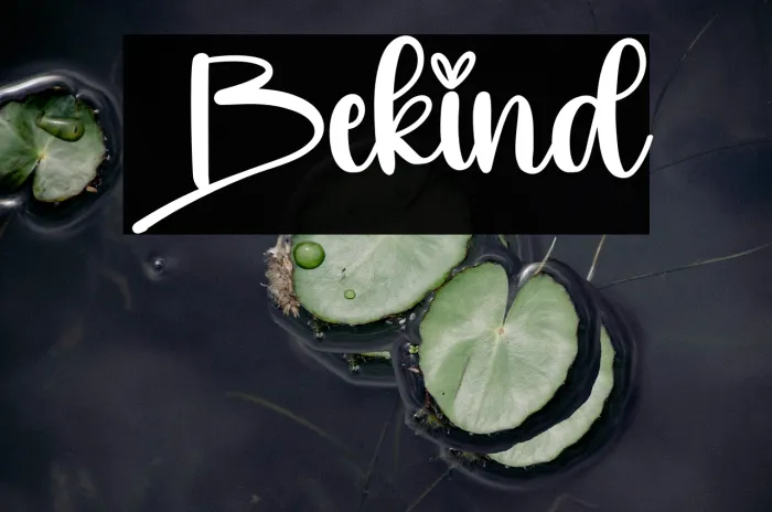 Bekind Example 3