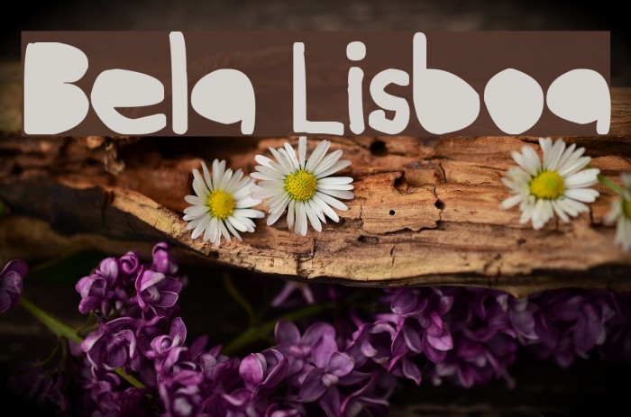 Bela Lisboa Font examples