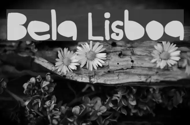 Bela Lisboa Font examples