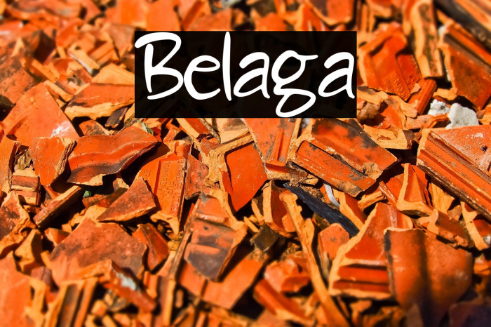 Belaga Example 1