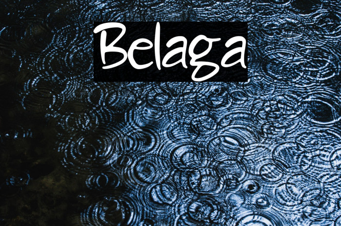 Belaga Example 2