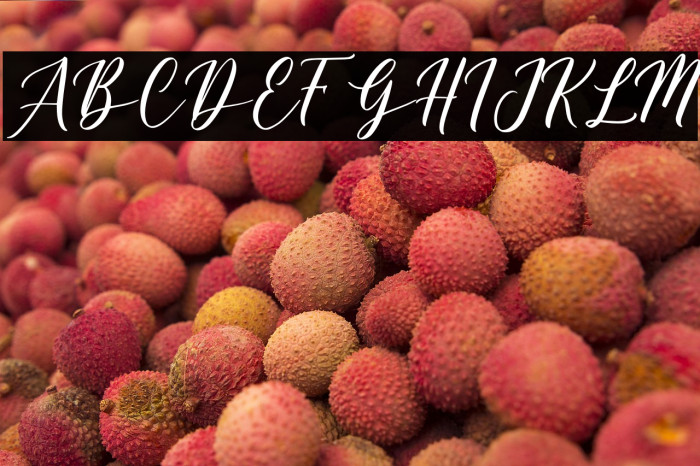 Belagia - Demo Example 1