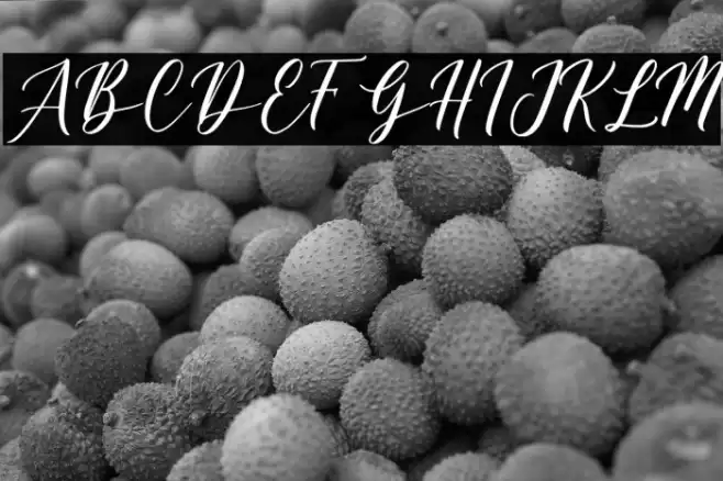 Belagia - Demo Font examples