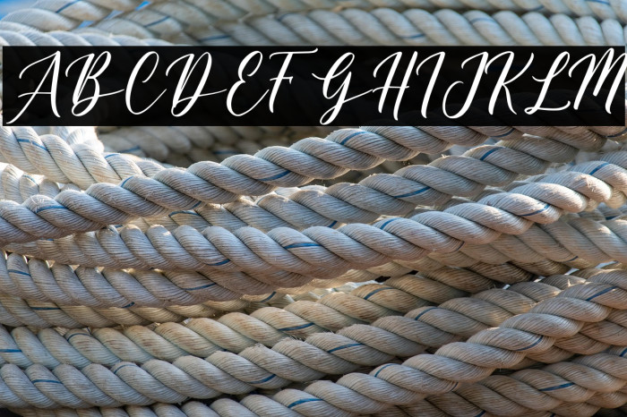 Belagia - Demo Example 2