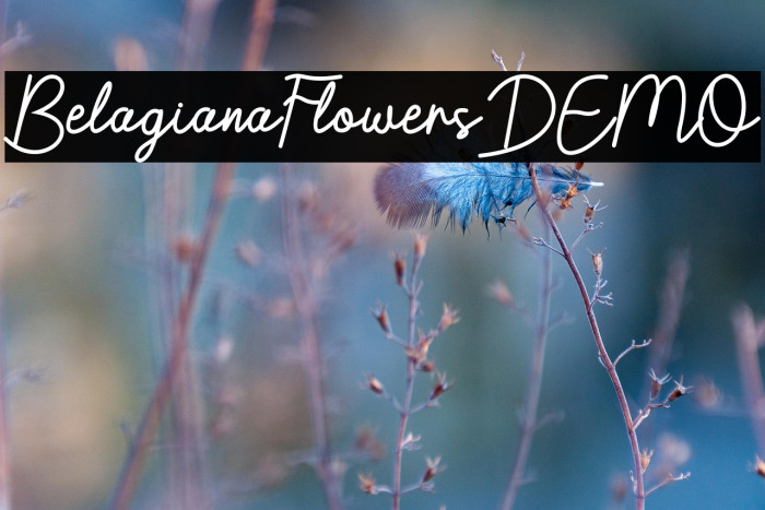 BelagianaFlowersDEMO Example 1