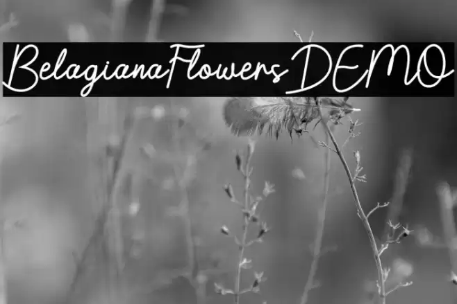 BelagianaFlowersDEMO Font examples
