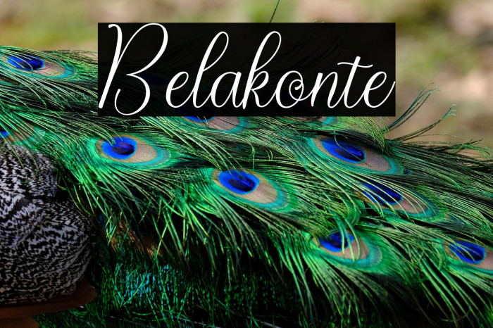 Belakonte Example 1