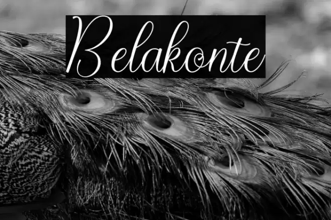 Belakonte Font examples