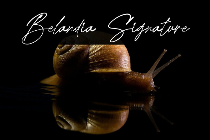 Belandia Signature Example 1