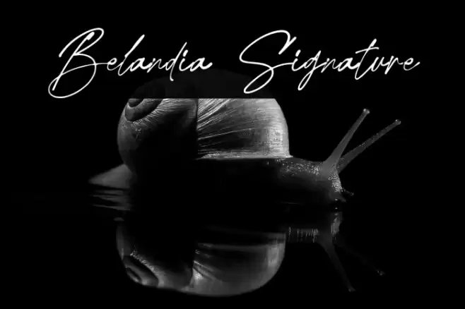 Belandia Signature Font examples