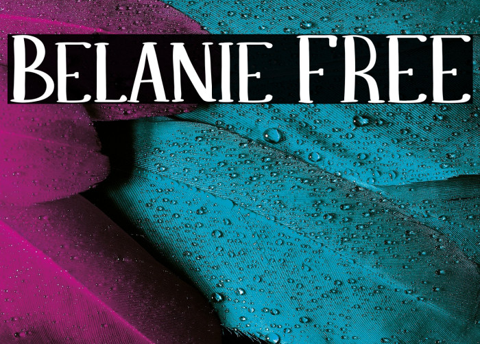 Belanie FREE Example 1