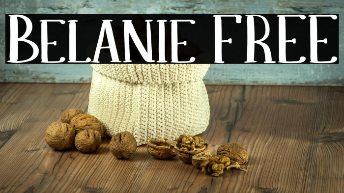 Belanie FREE Example 2