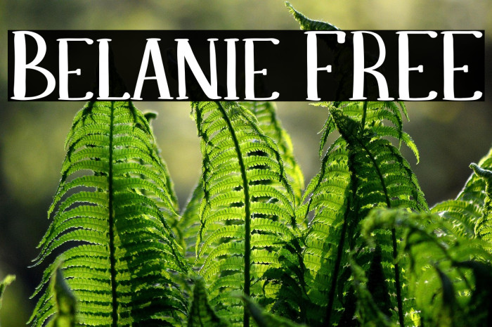 Belanie FREE Example 3