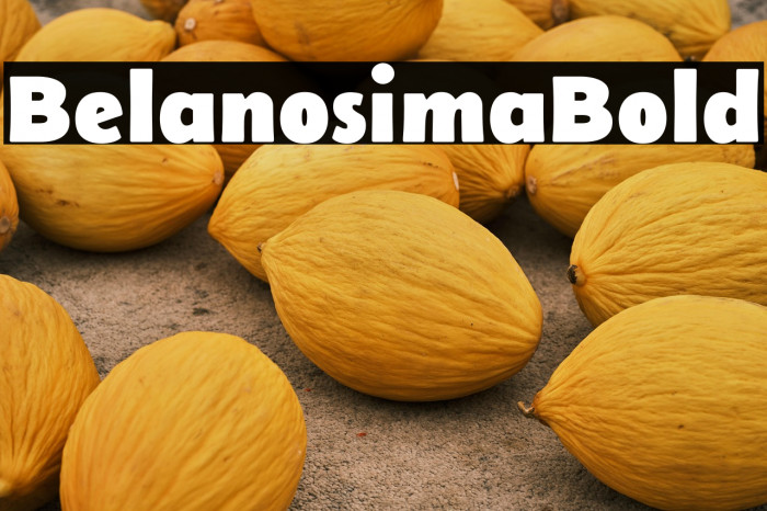 Belanosima Bold Example 1