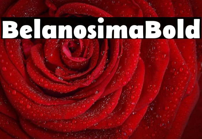 Belanosima Bold Example 2