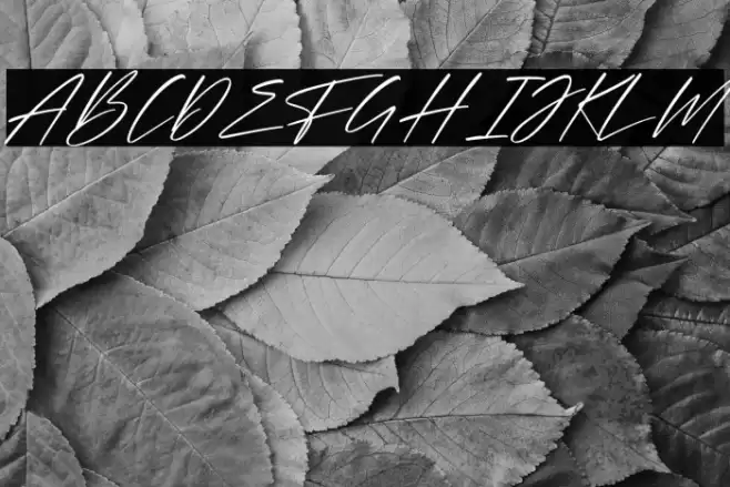 Belantica Italic Font examples