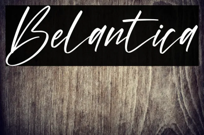 Belantica Example 1