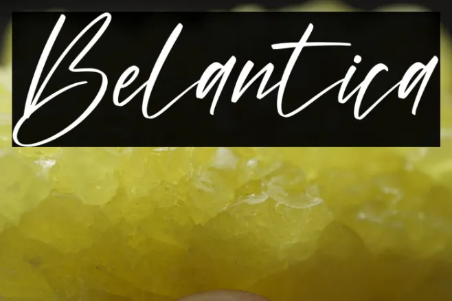 Belantica Example 2