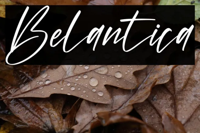 Belantica Example 3