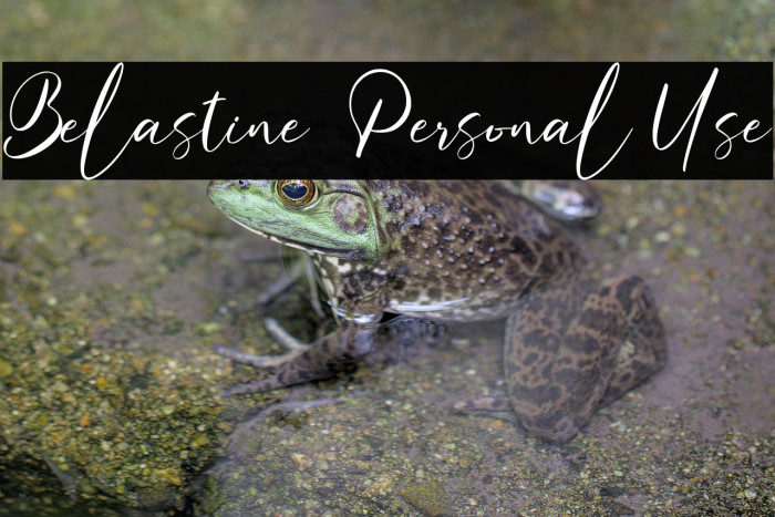 Belastine - Personal Use Example 1