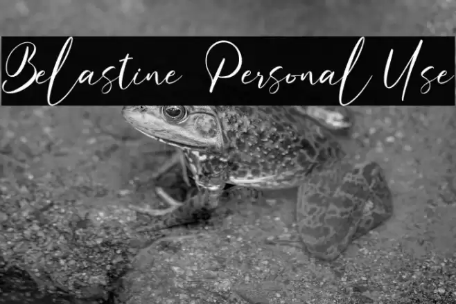 Belastine - Personal Use Font examples