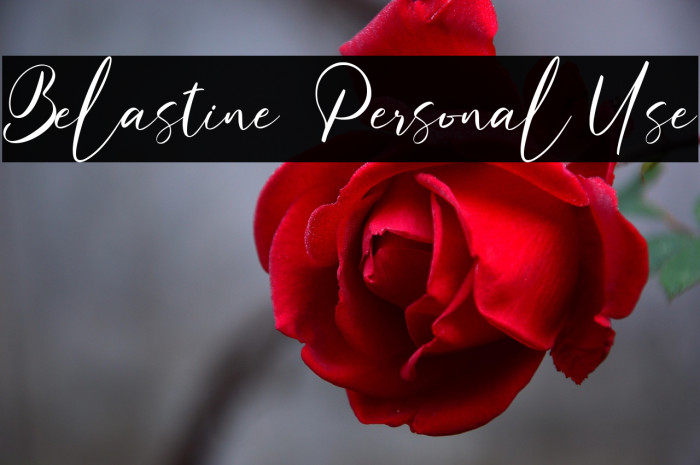 Belastine - Personal Use Example 2