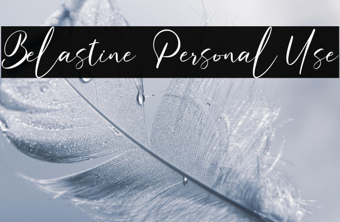 Belastine - Personal Use Example 3