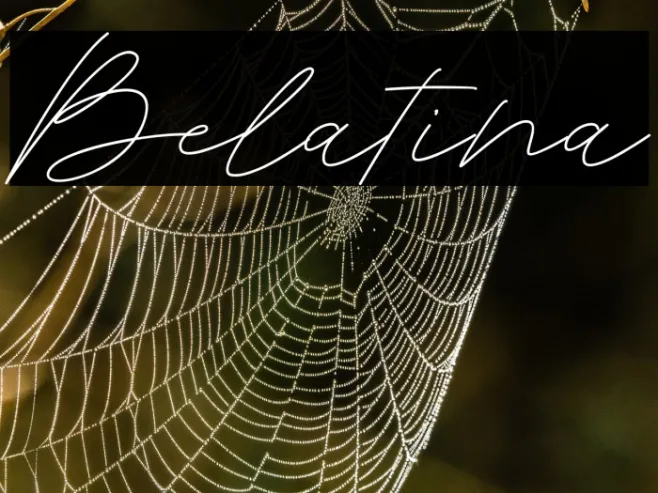 Belatina Example 2