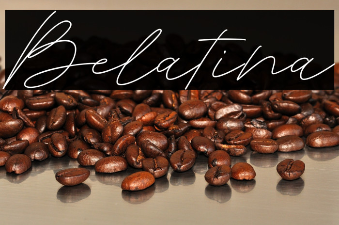 Belatina Example 3