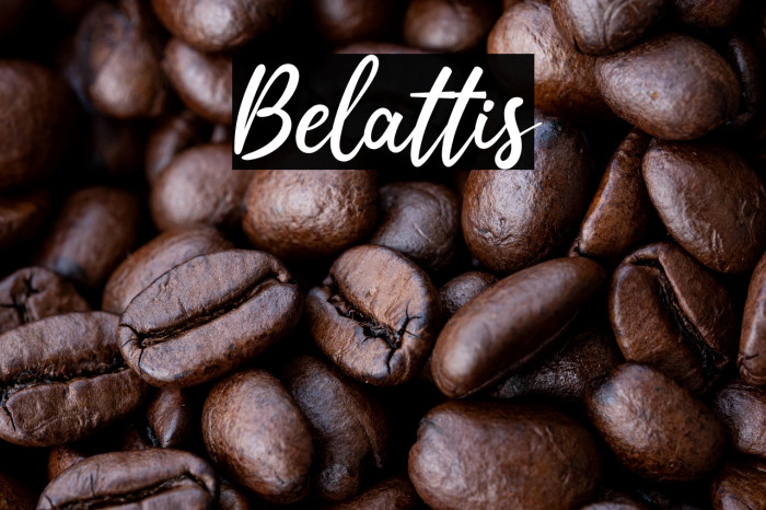 Belattis Example 3