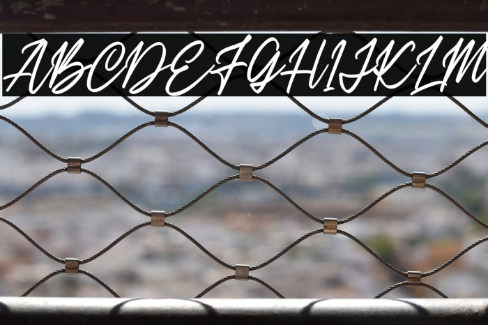 BelbingScriptDEMO-Regular Example 2