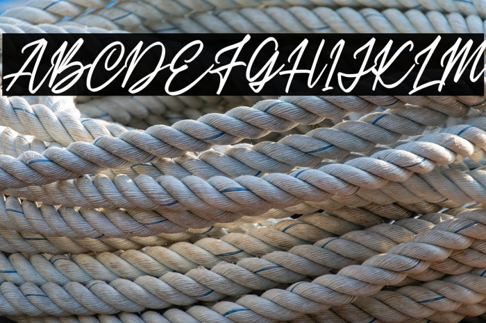 BelbingScriptDEMO-Regular Example 3