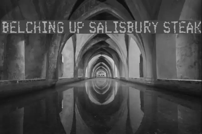 Belching Up Salisbury Steak Polices examples