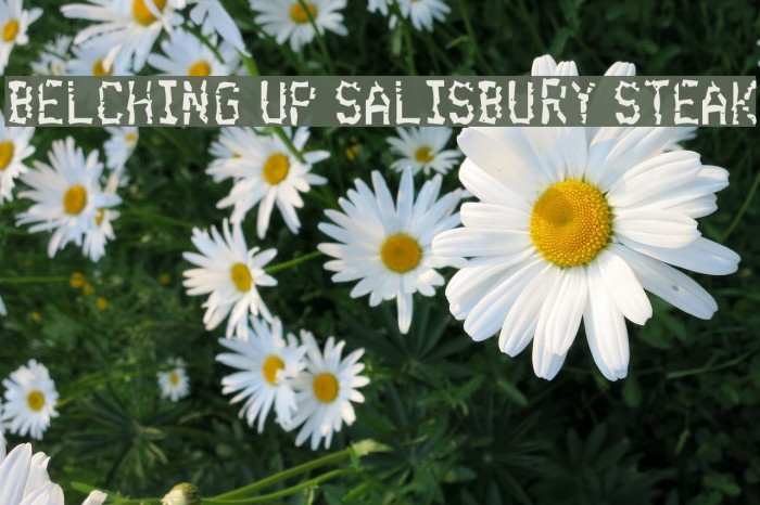 Belching Up Salisbury Steak Font examples