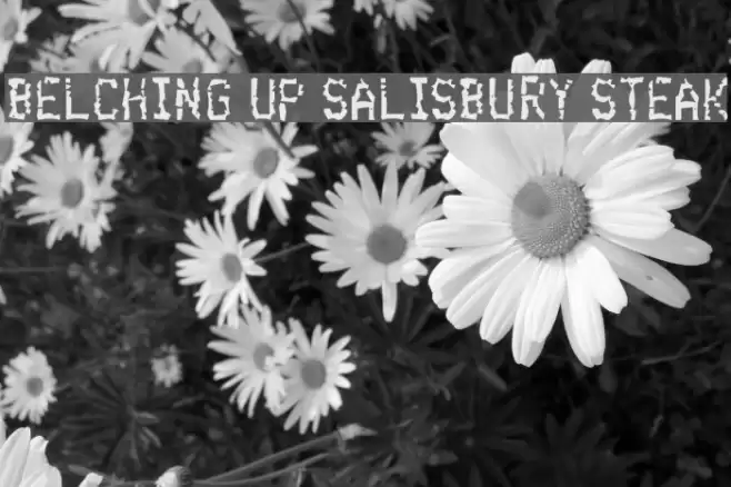 Belching Up Salisbury Steak Polices examples