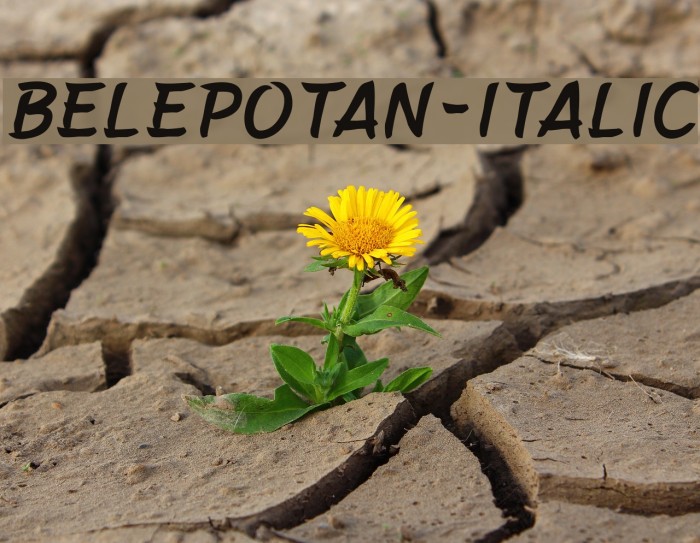 Belepotan-Italic Font examples