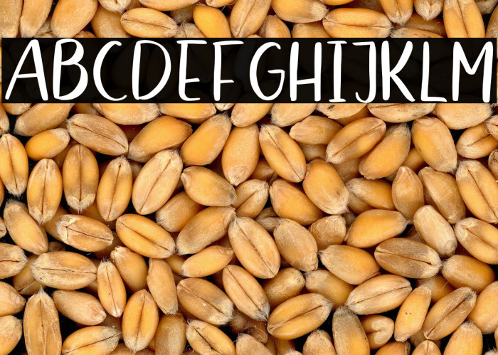 Belfast Star Sans Example 2