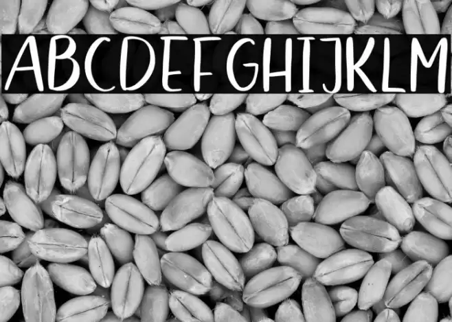 Belfast Star Sans Font examples