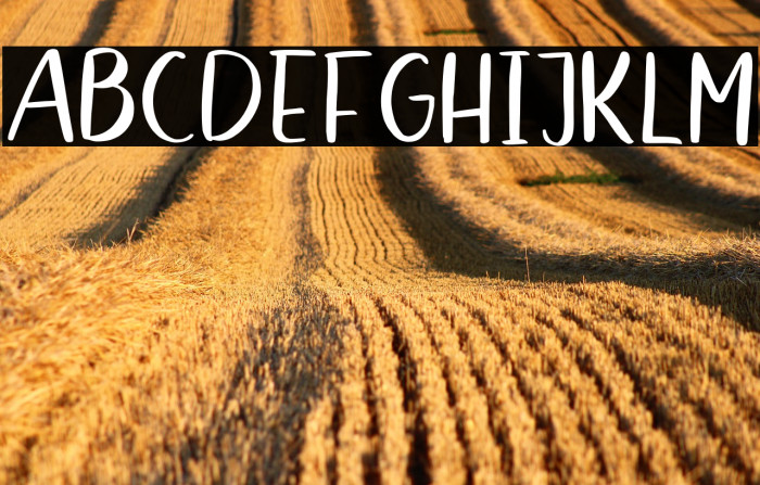 Belfast Star Sans Example 3