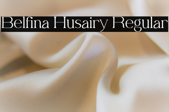 Belfina Husairy Regular Example 2