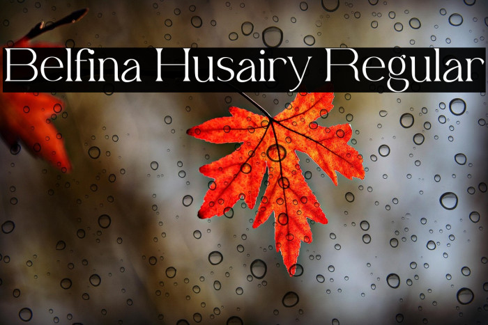 Belfina Husairy Regular Example 3