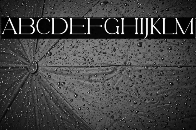 BelfinaHusairy-Regular Font examples