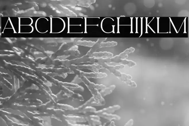 BelfinaHusairy-Regular Font examples